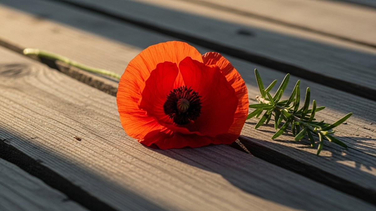 Anzac Day Monday Substitute Holiday in Australia